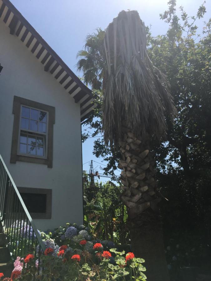 The Oaks House Foz Hotel Porto Eksteriør billede